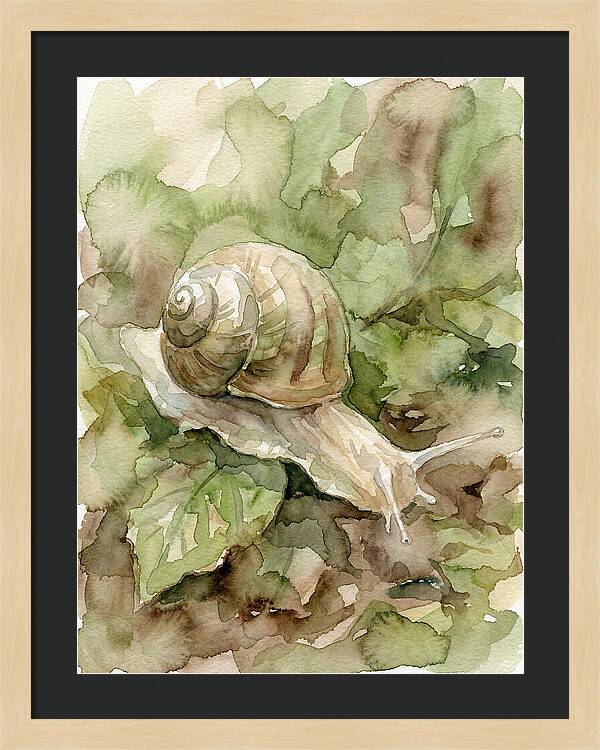 Snail Among Lush Greenery
