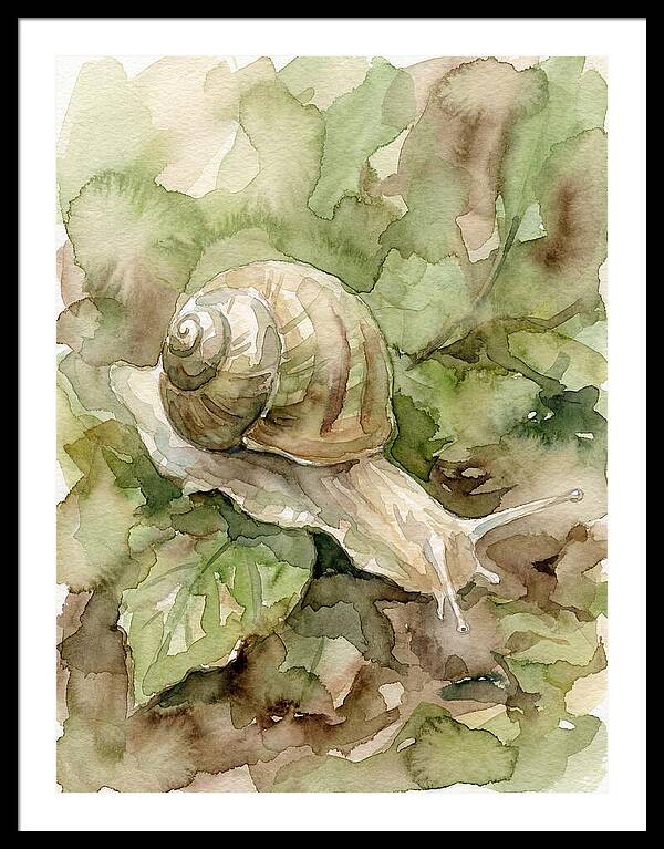 Snail Among Lush Greenery