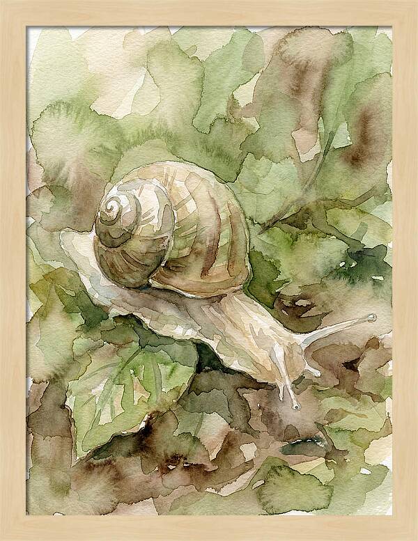 Snail Among Lush Greenery