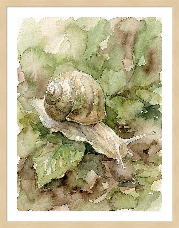 Snail Among Lush Greenery