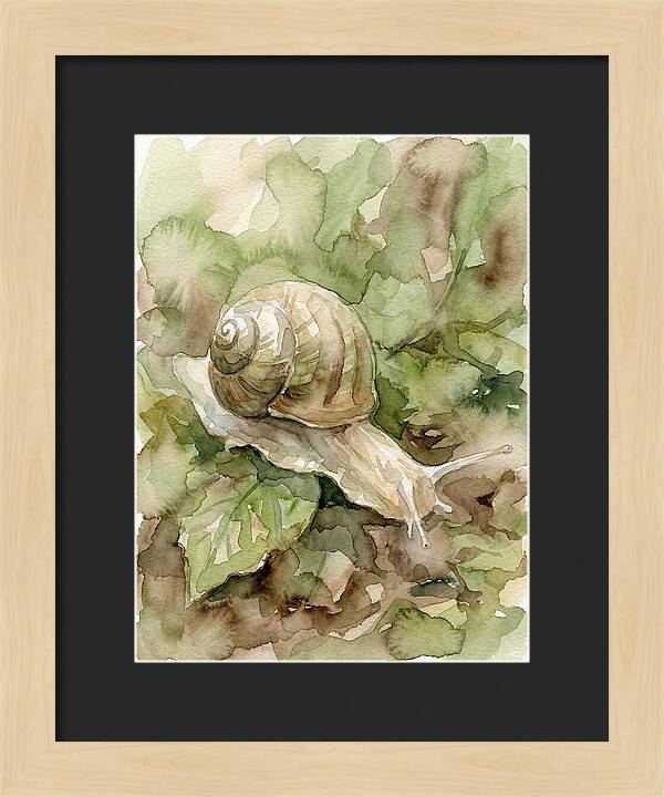 Snail Among Lush Greenery