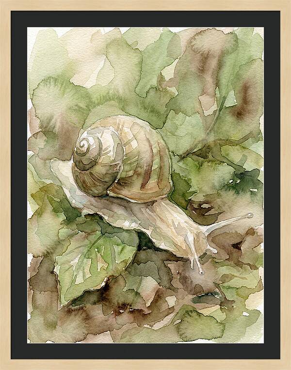 Snail Among Lush Greenery