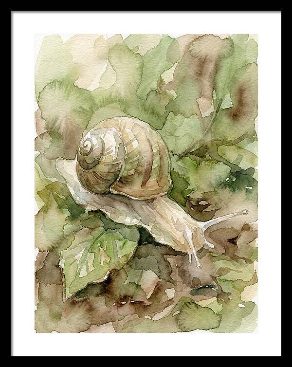 Snail Among Lush Greenery