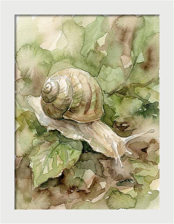 Snail Among Lush Greenery