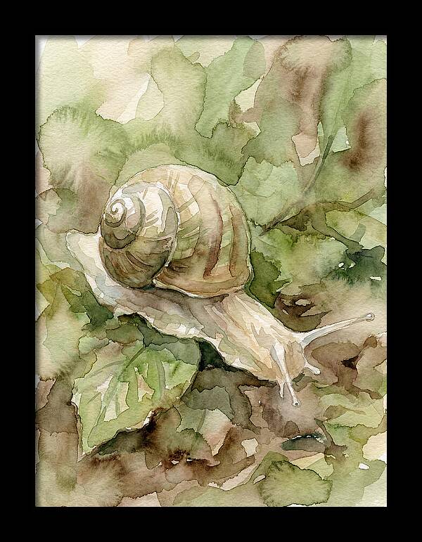 Snail Among Lush Greenery