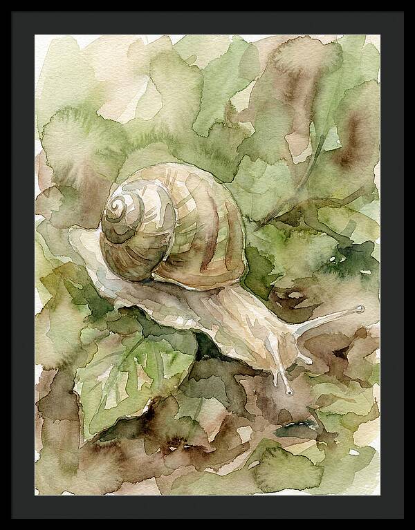 Snail Among Lush Greenery