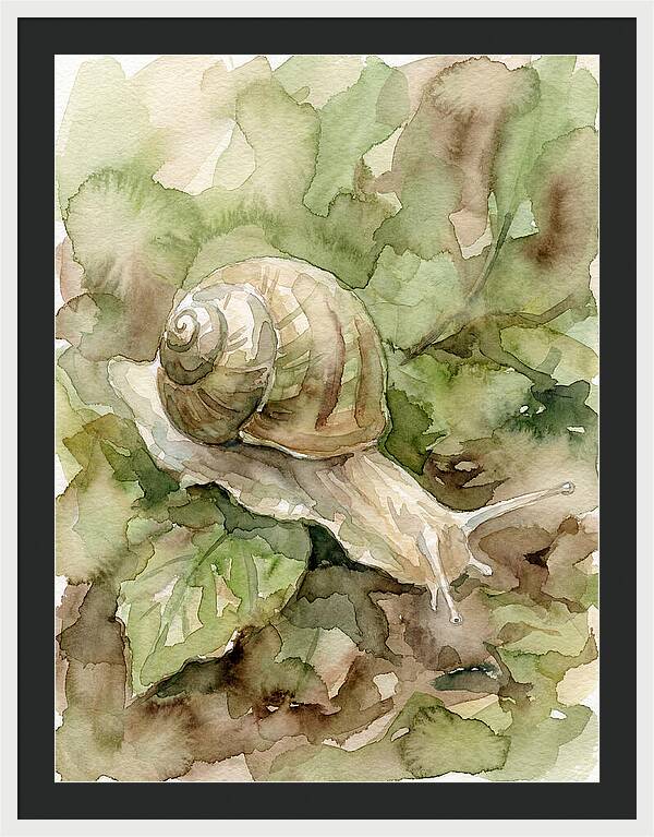 Snail Among Lush Greenery