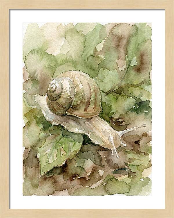 Snail Among Lush Greenery