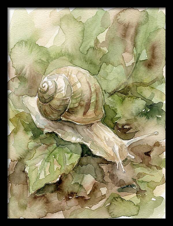 Snail Among Lush Greenery