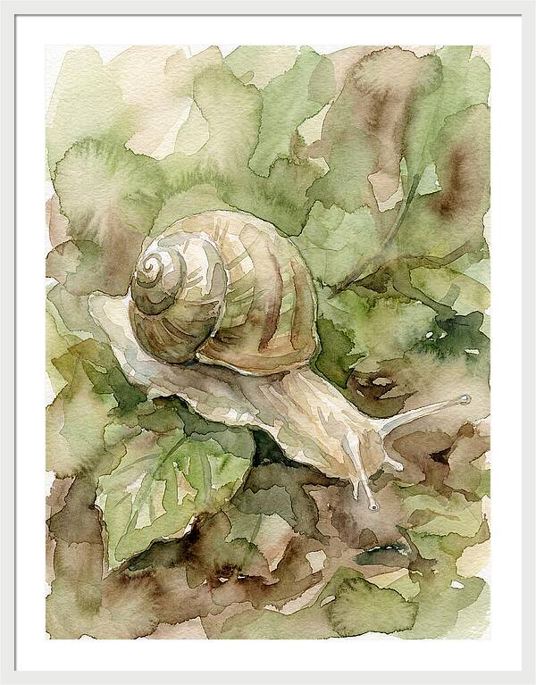 Snail Among Lush Greenery