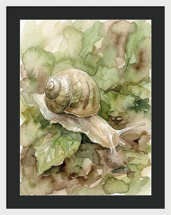 Snail Among Lush Greenery
