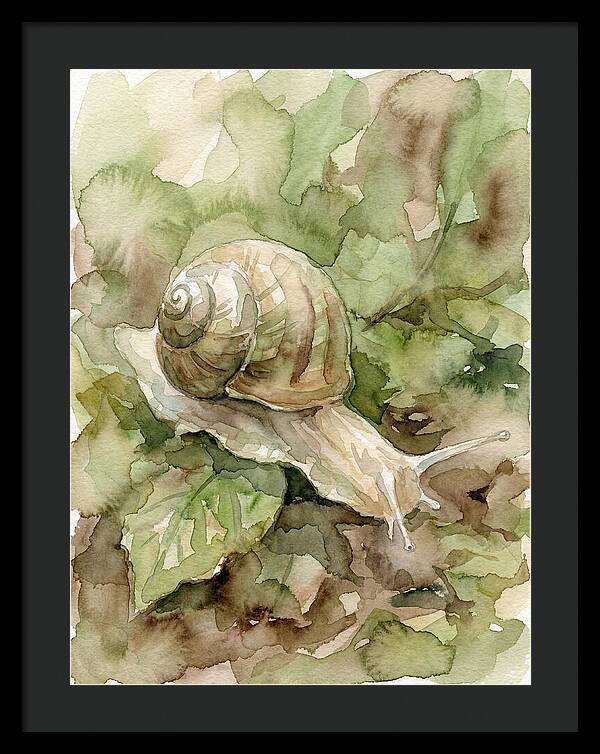 Snail Among Lush Greenery