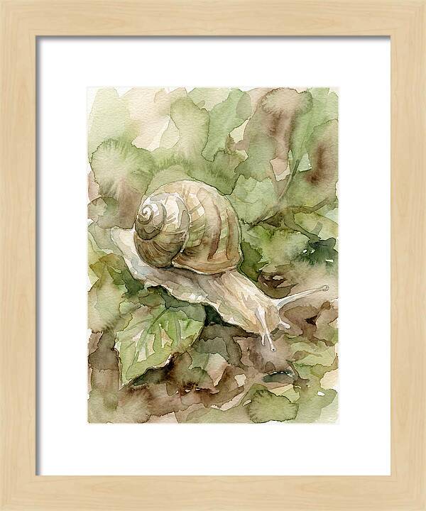 Snail Among Lush Greenery