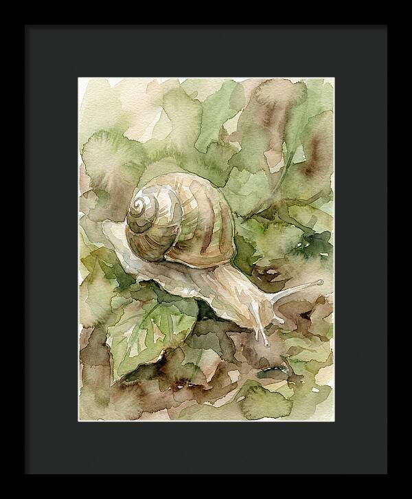 Snail Among Lush Greenery