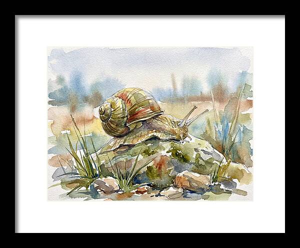 Snail On A Rock