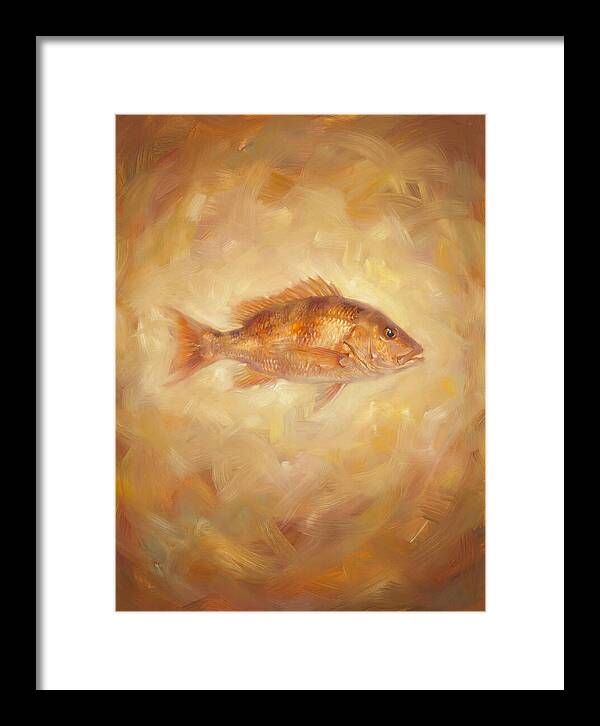 Snapper Elegance