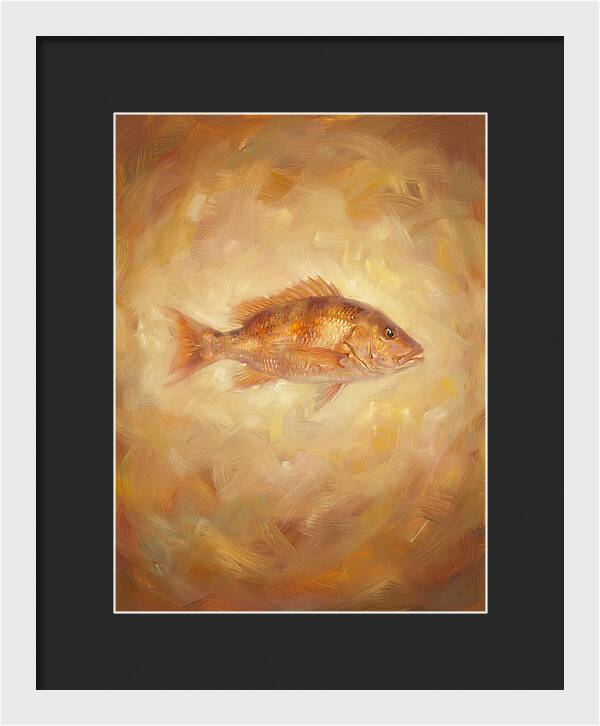 Snapper Elegance