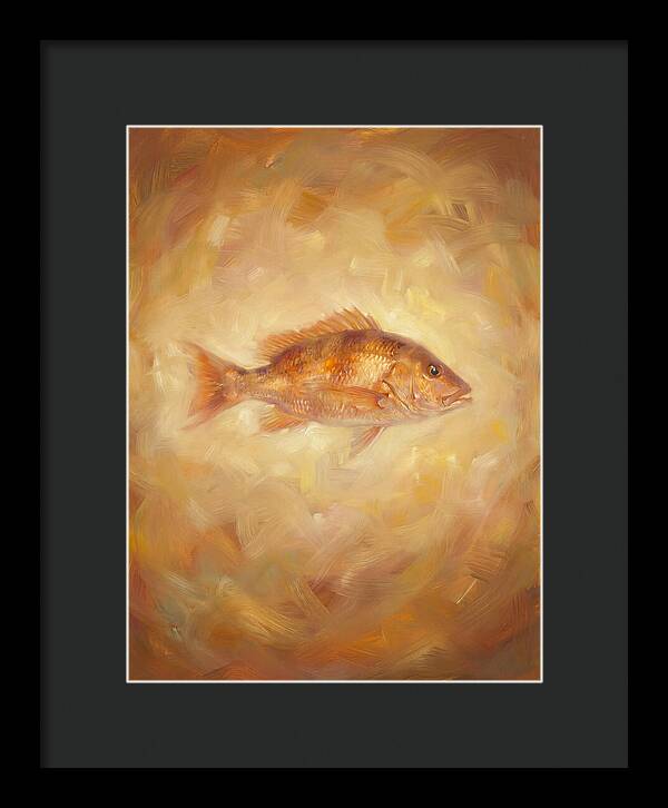 Snapper Elegance