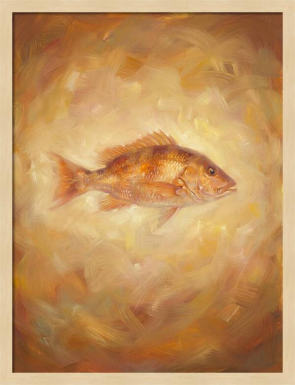 Snapper Elegance