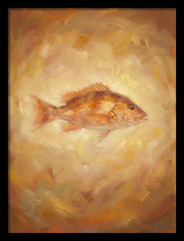 Snapper Elegance