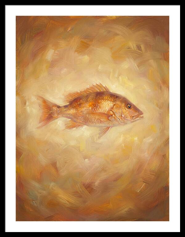 Snapper Elegance