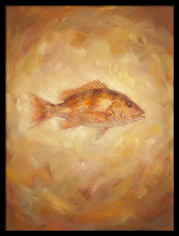 Snapper Elegance