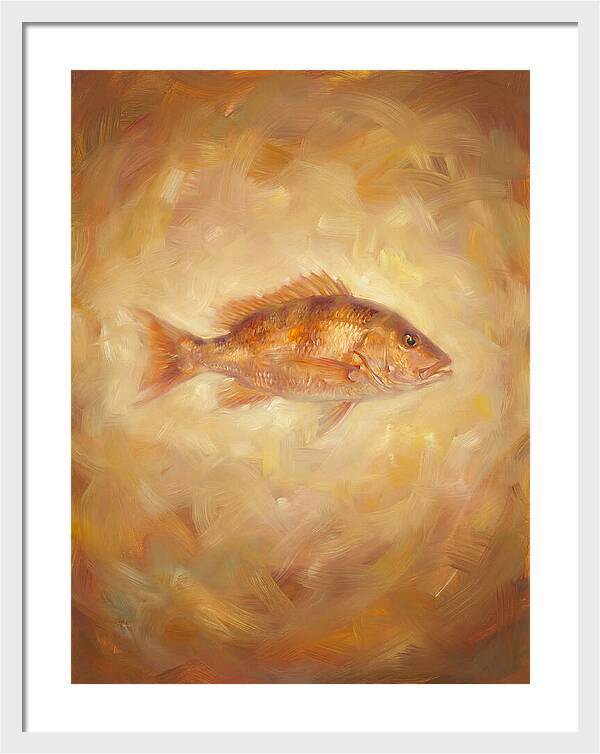 Snapper Elegance