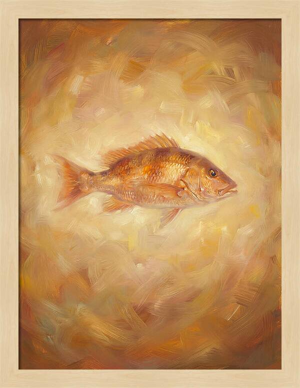 Snapper Elegance