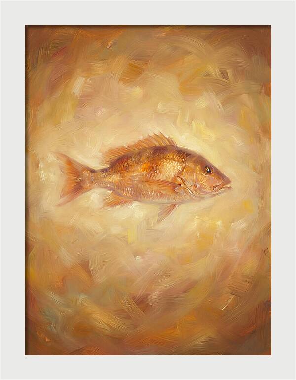Snapper Elegance