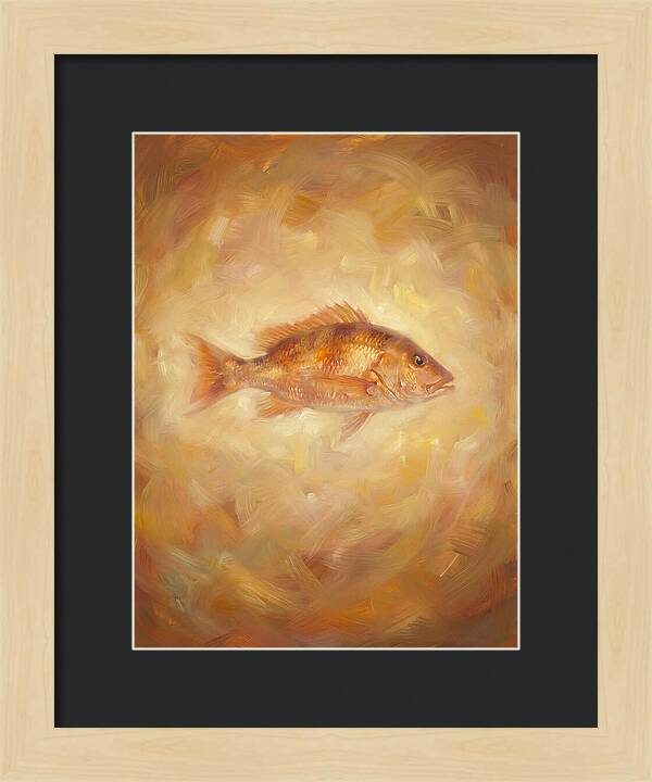 Snapper Elegance