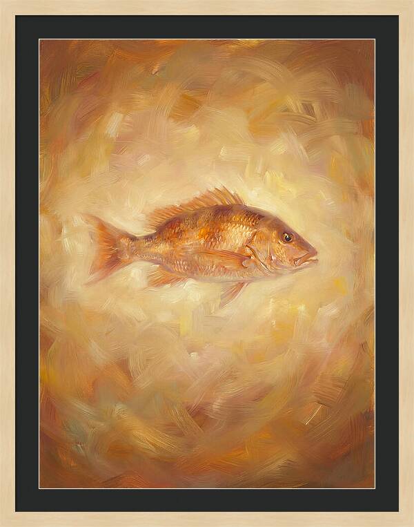 Snapper Elegance