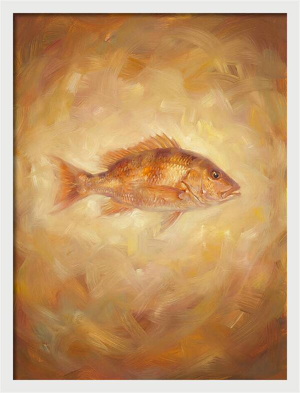 Snapper Elegance