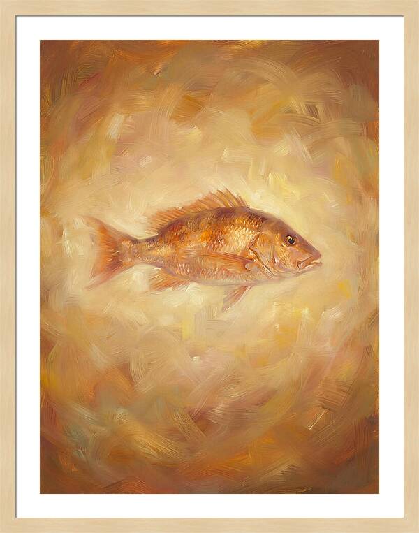Snapper Elegance