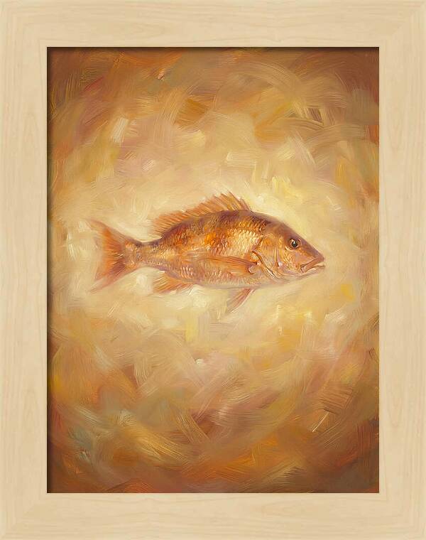 Snapper Elegance
