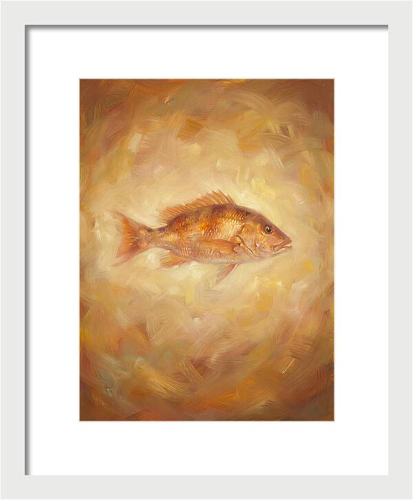Snapper Elegance
