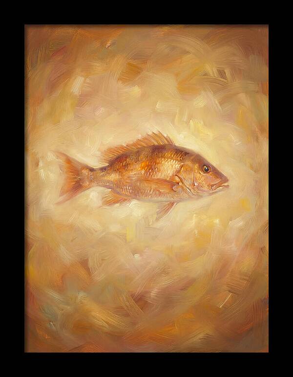 Snapper Elegance