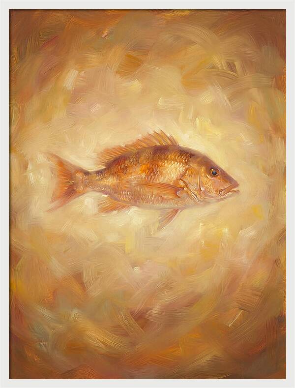 Snapper Elegance