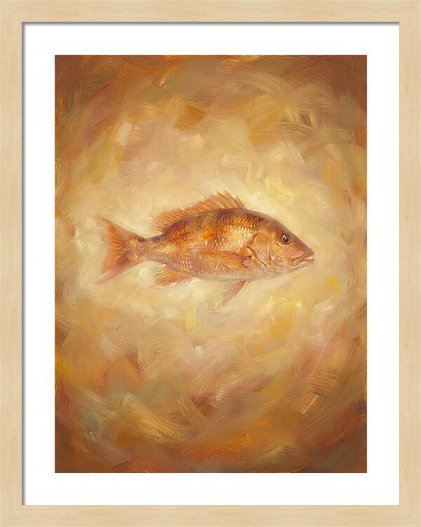 Snapper Elegance