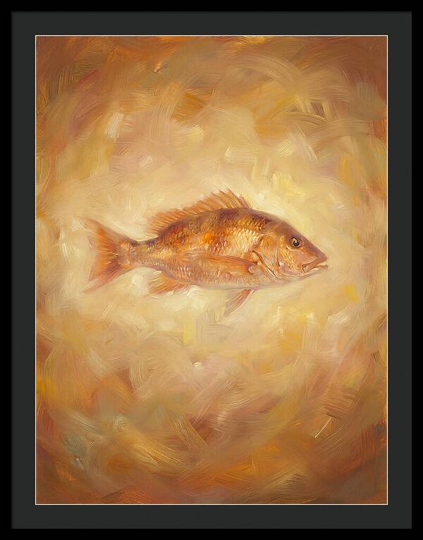 Snapper Elegance