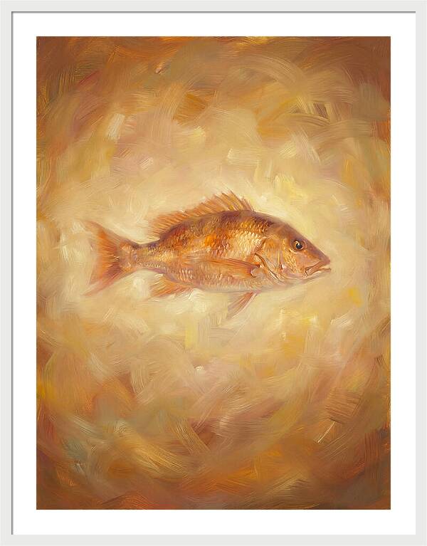 Snapper Elegance