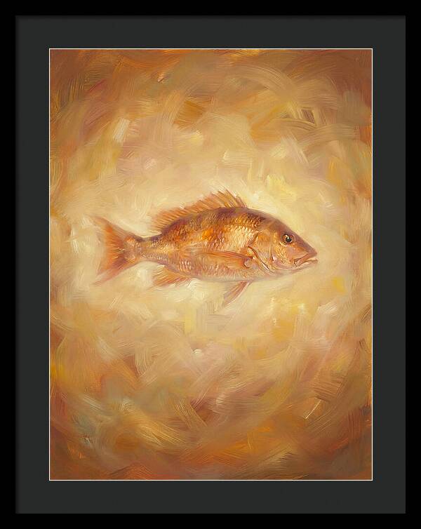 Snapper Elegance