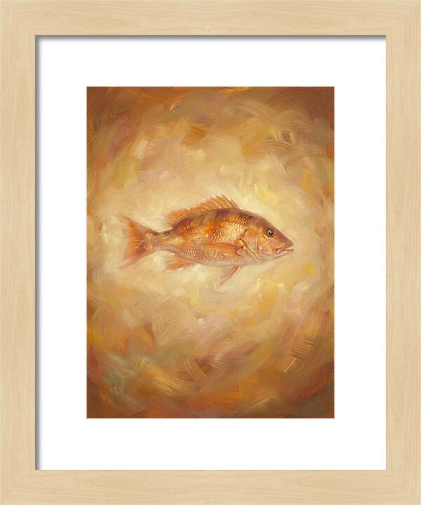 Snapper Elegance