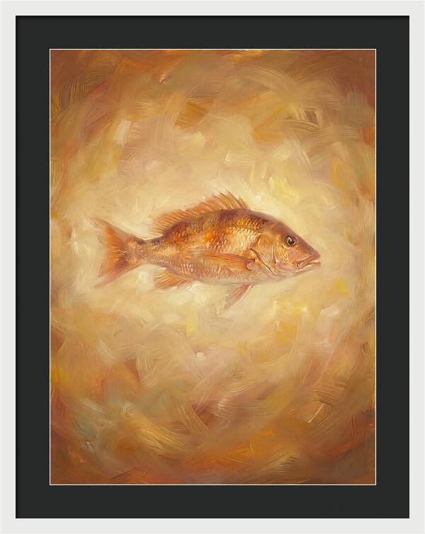 Snapper Elegance