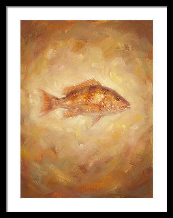 Snapper Elegance