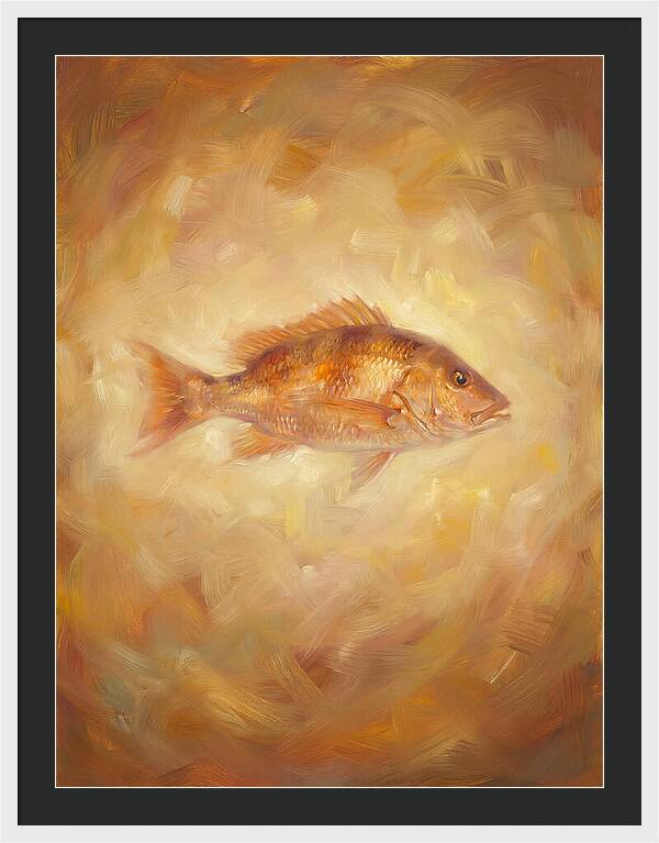 Snapper Elegance
