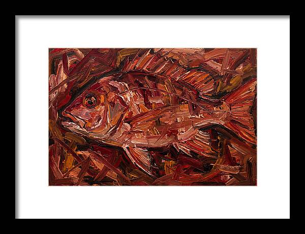 Snapper In Expressionist Style