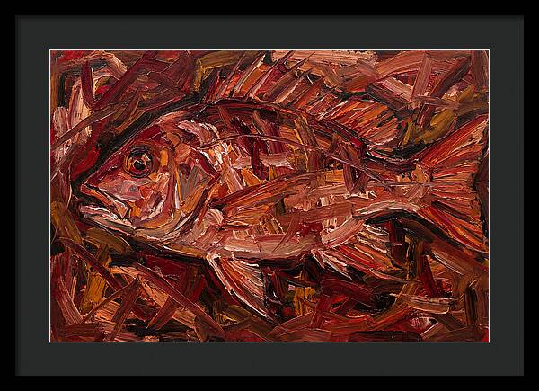 Snapper In Expressionist Style