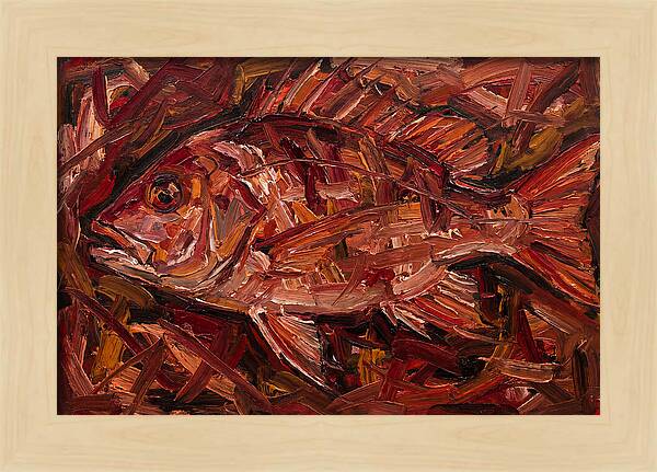 Snapper In Expressionist Style
