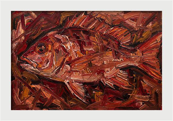 Snapper In Expressionist Style