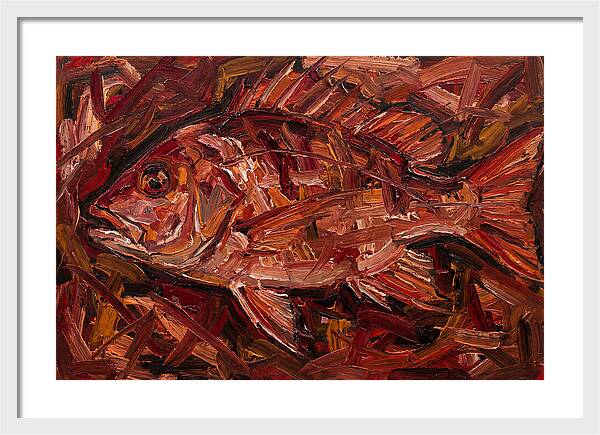 Snapper In Expressionist Style